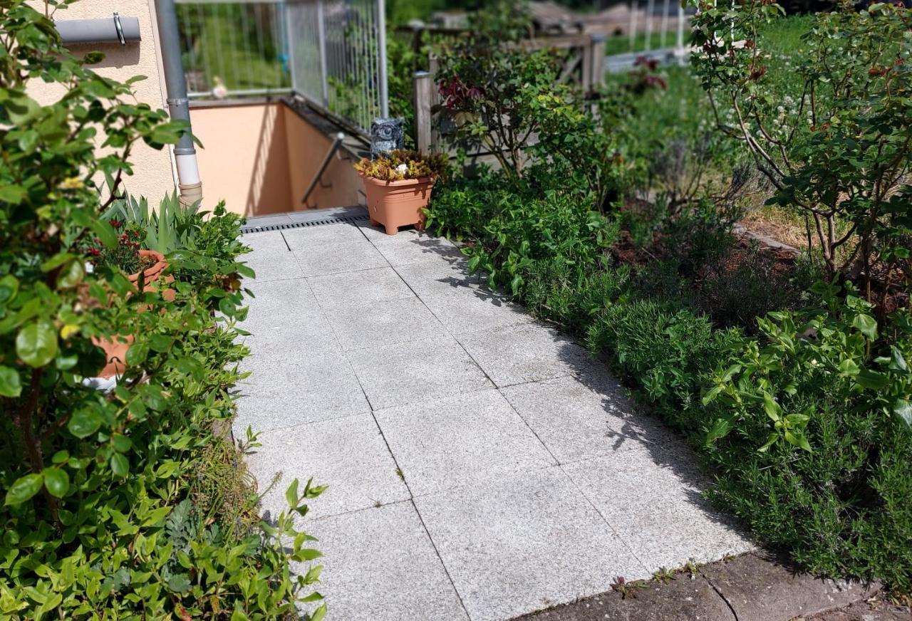 Ferienwohnung Freitag Vendersheim المظهر الخارجي الصورة